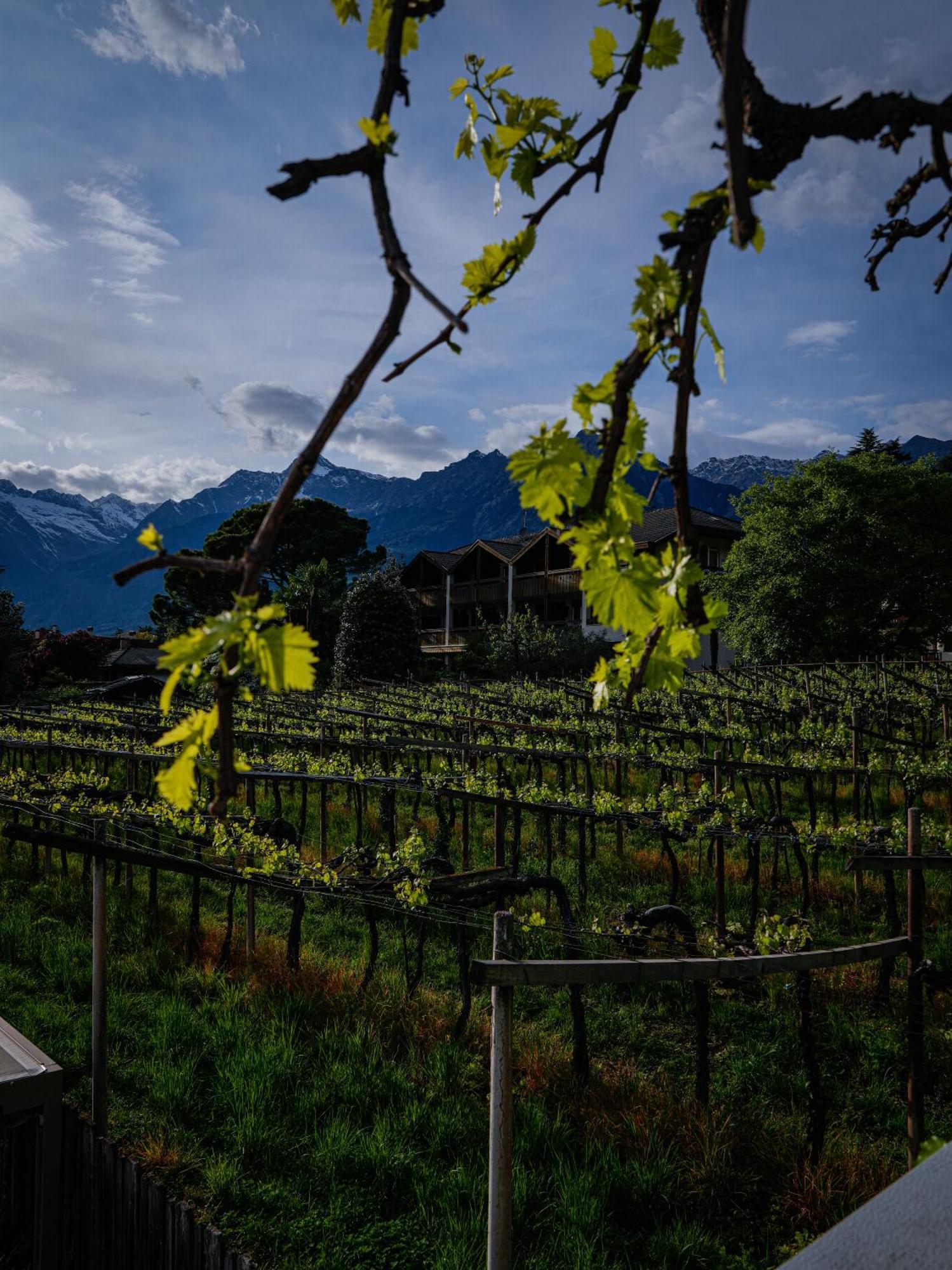Merangardenvilla Adults Only Merano